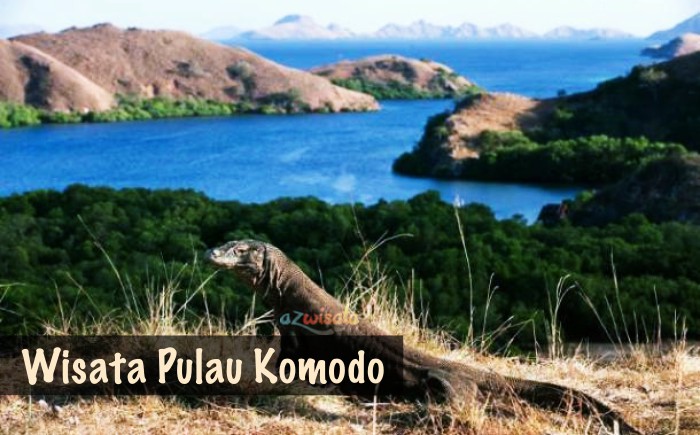 Tempat Wisata Pulau Komodo